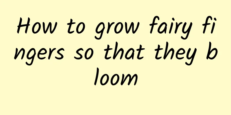 How to grow fairy fingers so that they bloom