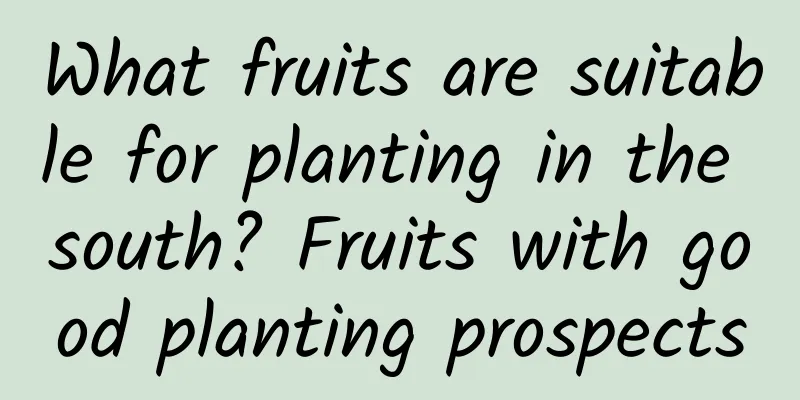 What fruits are suitable for planting in the south? Fruits with good planting prospects