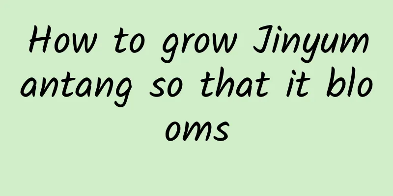 How to grow Jinyumantang so that it blooms