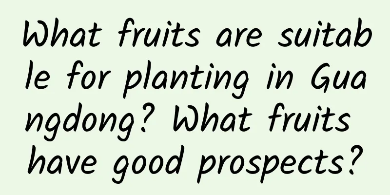 What fruits are suitable for planting in Guangdong? What fruits have good prospects?