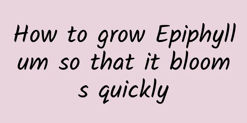 How to grow Epiphyllum so that it blooms quickly