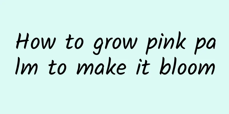How to grow pink palm to make it bloom