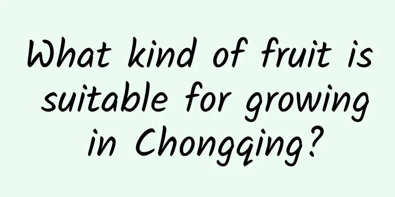What kind of fruit is suitable for growing in Chongqing?