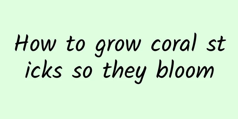 How to grow coral sticks so they bloom