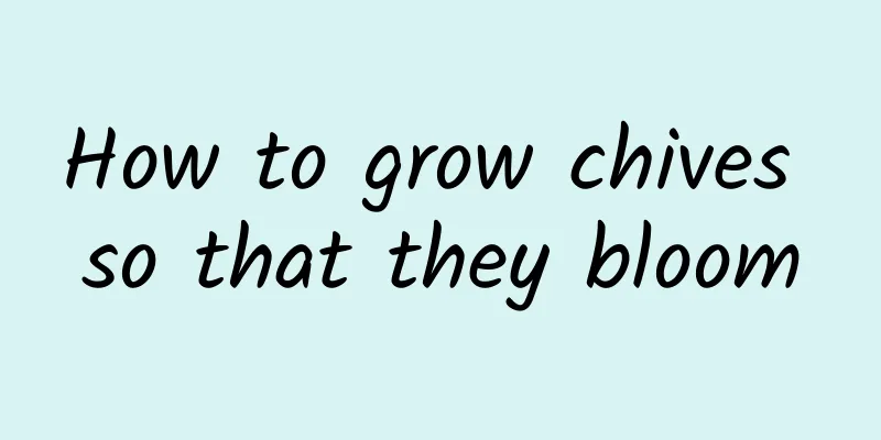 How to grow chives so that they bloom