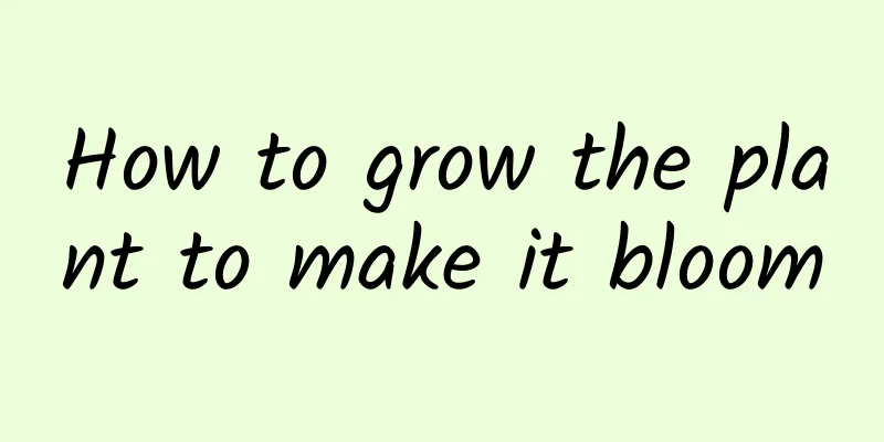 How to grow the plant to make it bloom