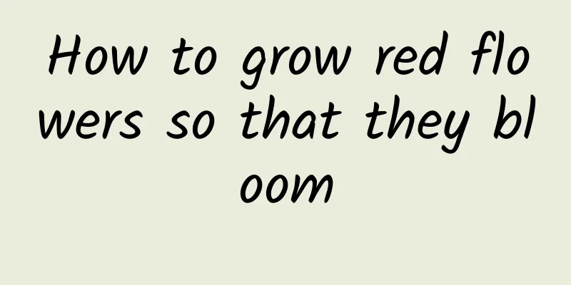 How to grow red flowers so that they bloom