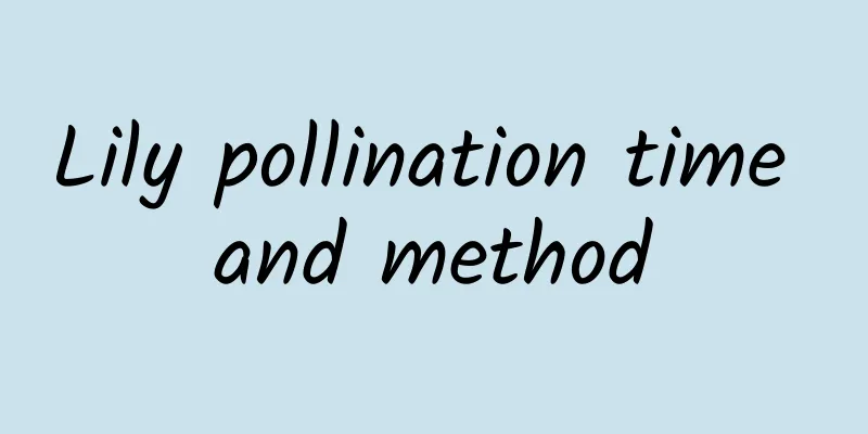 Lily pollination time and method