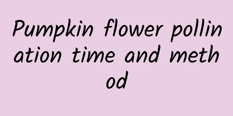 Pumpkin flower pollination time and method