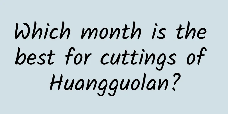 Which month is the best for cuttings of Huangguolan?