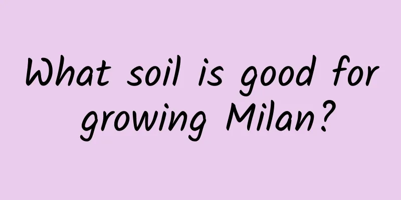 What soil is good for growing Milan?