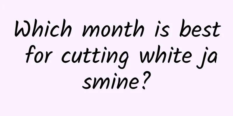 Which month is best for cutting white jasmine?