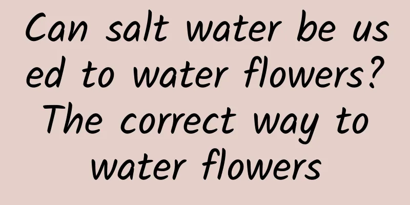 Can salt water be used to water flowers? The correct way to water flowers