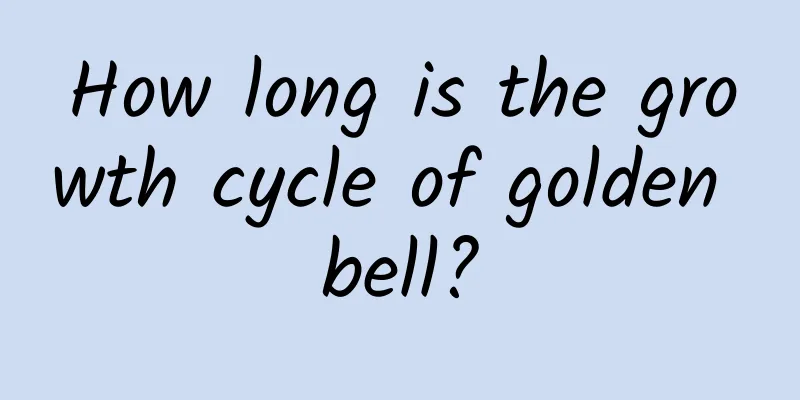 How long is the growth cycle of golden bell?