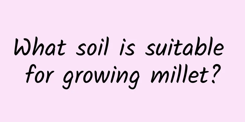 What soil is suitable for growing millet?