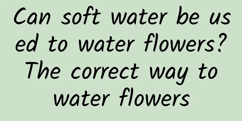 Can soft water be used to water flowers? The correct way to water flowers