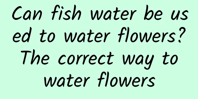 Can fish water be used to water flowers? The correct way to water flowers