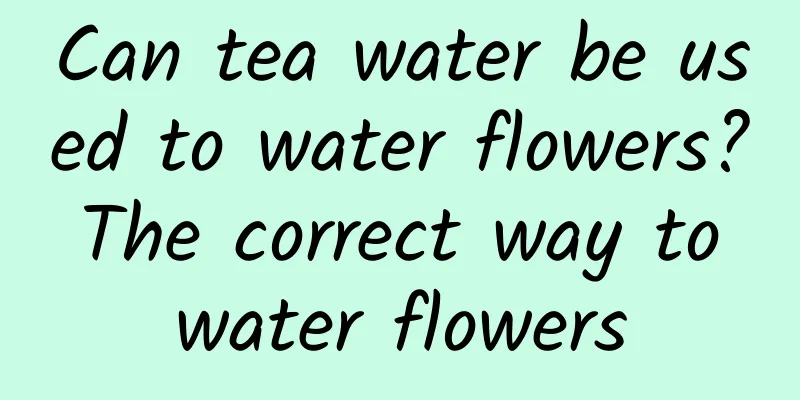 Can tea water be used to water flowers? The correct way to water flowers
