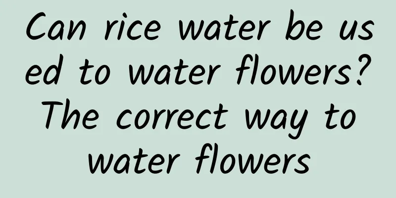 Can rice water be used to water flowers? The correct way to water flowers