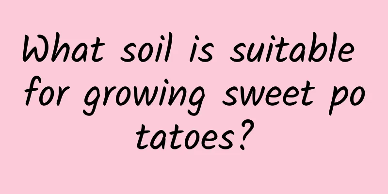 What soil is suitable for growing sweet potatoes?