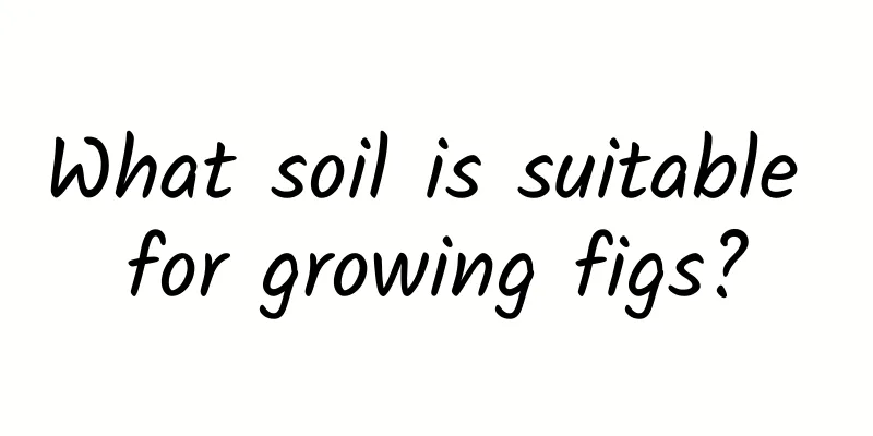 What soil is suitable for growing figs?