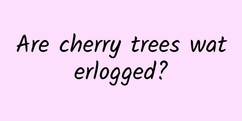 Are cherry trees waterlogged?