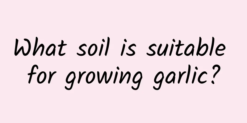 What soil is suitable for growing garlic?