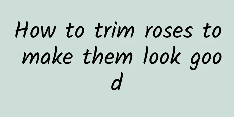 How to trim roses to make them look good