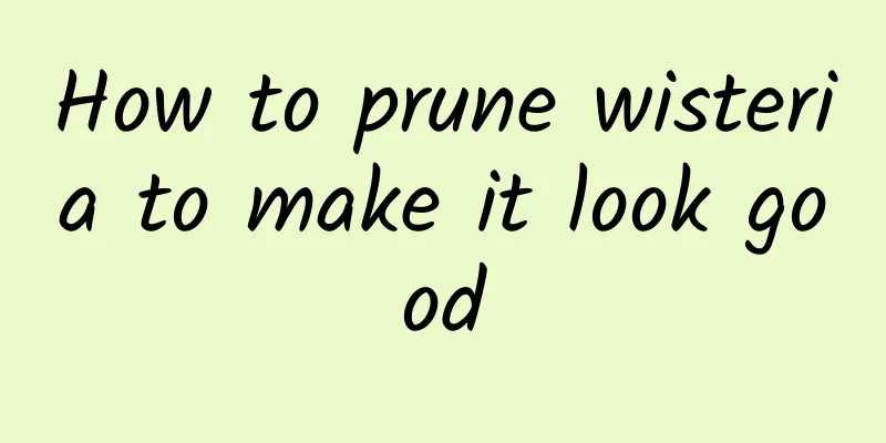 How to prune wisteria to make it look good