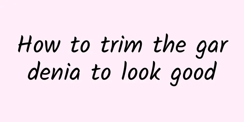 How to trim the gardenia to look good