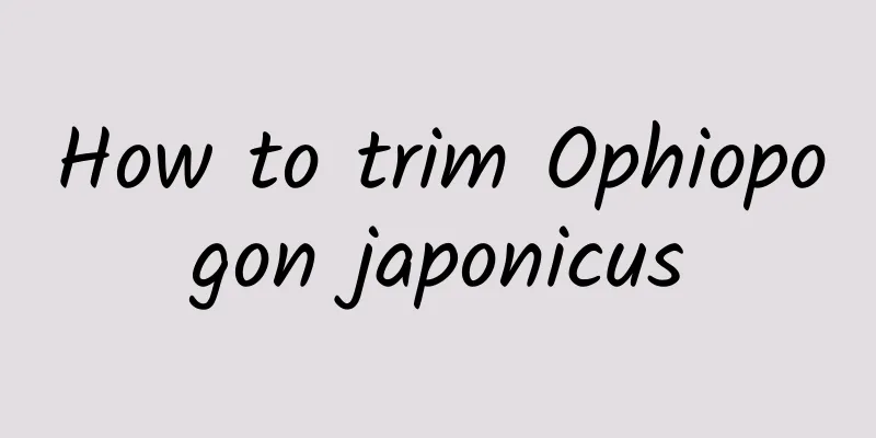 How to trim Ophiopogon japonicus