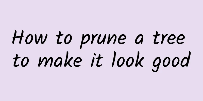 How to prune a tree to make it look good
