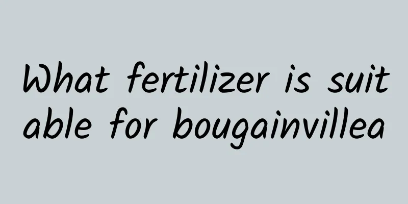 What fertilizer is suitable for bougainvillea