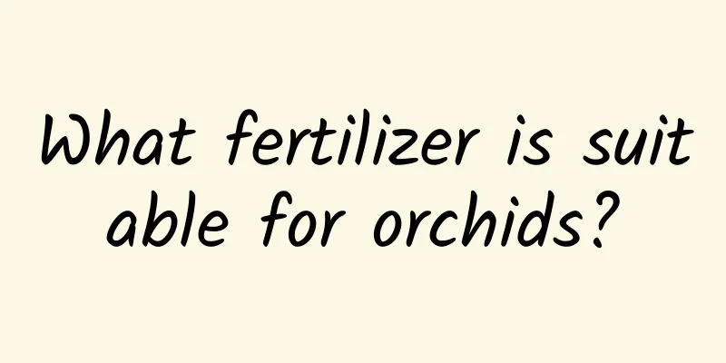 What fertilizer is suitable for orchids?