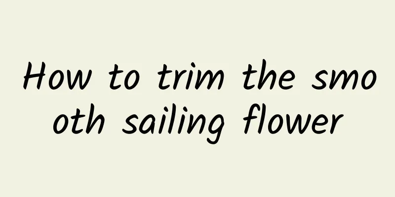 How to trim the smooth sailing flower