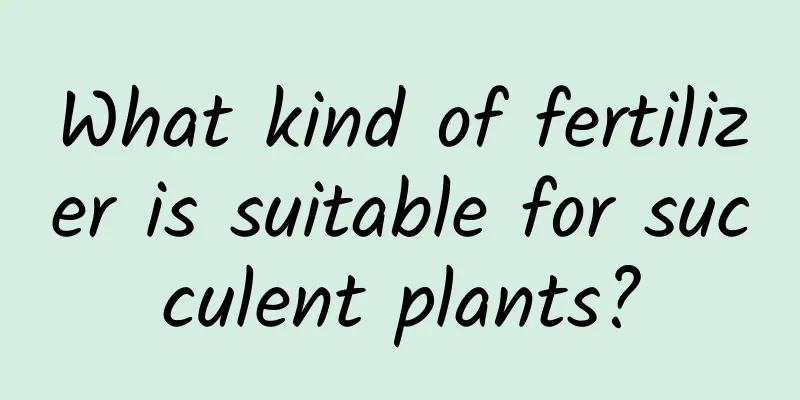 What kind of fertilizer is suitable for succulent plants?