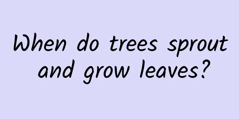 When do trees sprout and grow leaves?