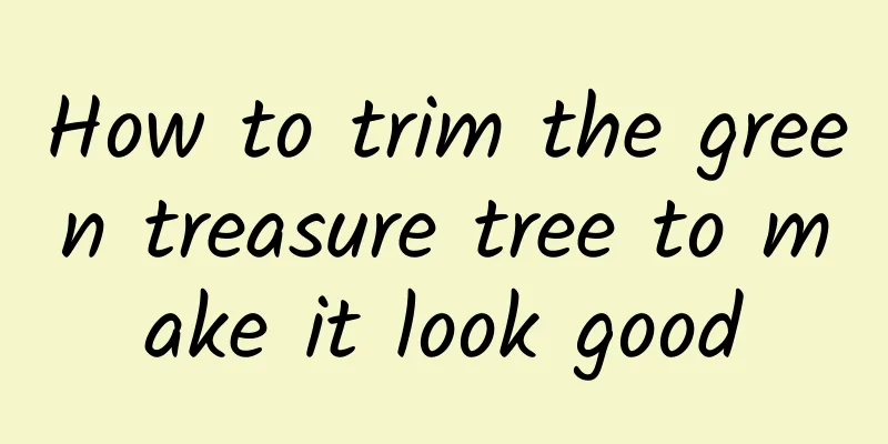 How to trim the green treasure tree to make it look good