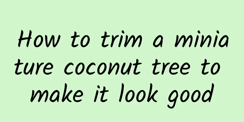 How to trim a miniature coconut tree to make it look good