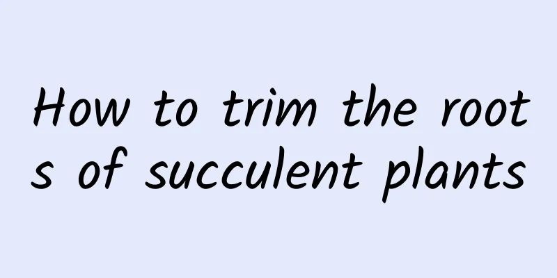 How to trim the roots of succulent plants