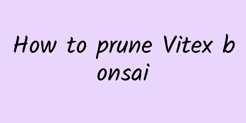 How to prune Vitex bonsai