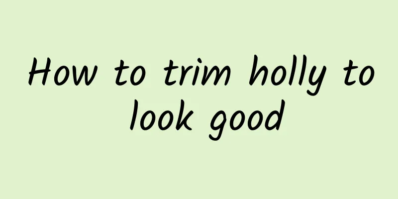 How to trim holly to look good
