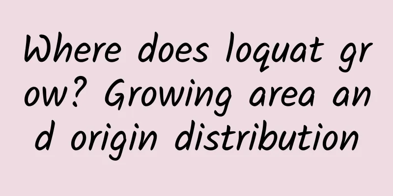 Where does loquat grow? Growing area and origin distribution