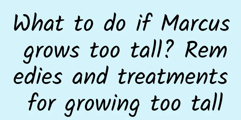 What to do if Marcus grows too tall? Remedies and treatments for growing too tall