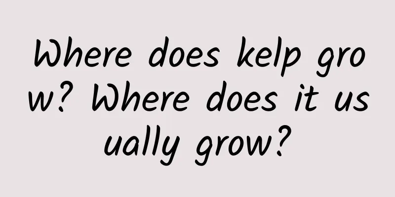 Where does kelp grow? Where does it usually grow?