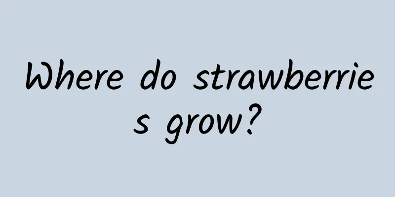 Where do strawberries grow?