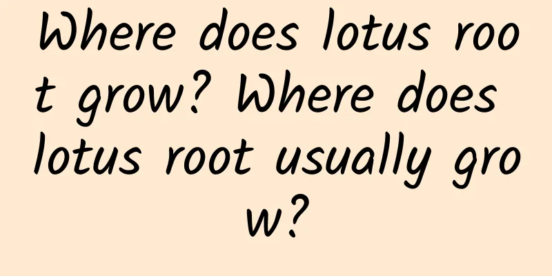 Where does lotus root grow? Where does lotus root usually grow?