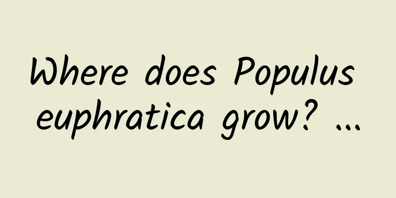 Where does Populus euphratica grow? ...