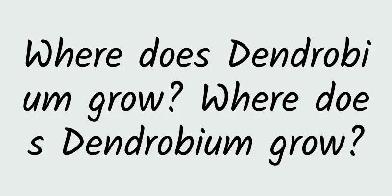 Where does Dendrobium grow? Where does Dendrobium grow?