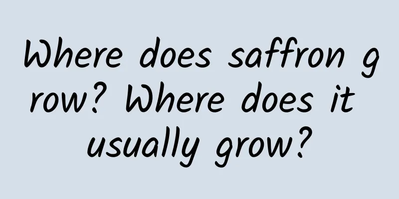 Where does saffron grow? Where does it usually grow?
